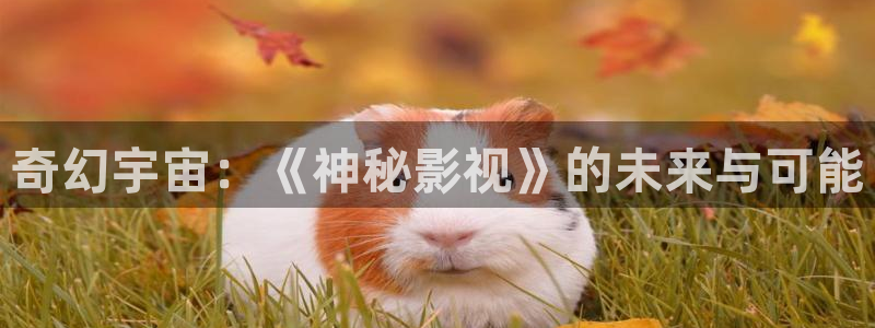 樱花影院在线免费观看