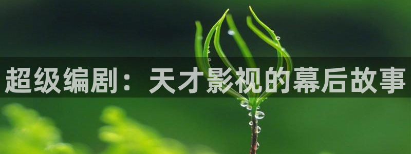 樱花影院高清电影好看的电视剧免费