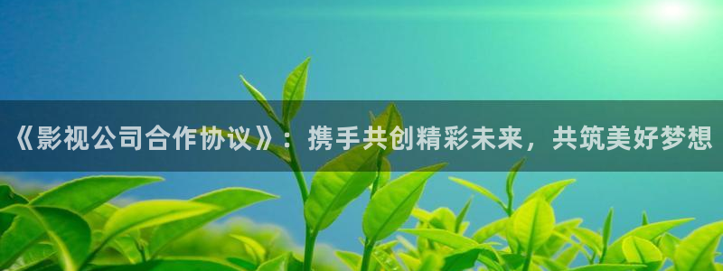 樱花影院最新免费观看攻略：《影视公司合作协议》：携手共创精彩未来，共筑美好梦想